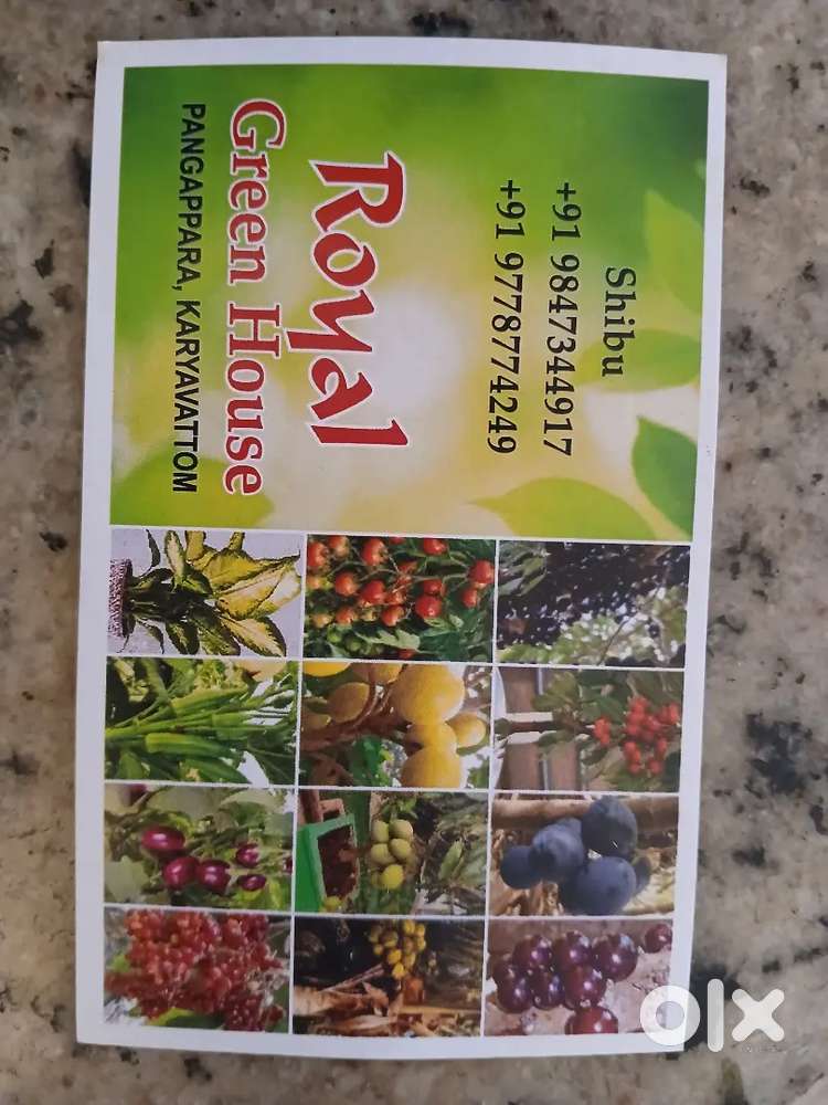 Sales girl vacancy Royal Green house kariyavittam