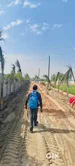Plots hi Plot Asaan Kiston mein 100Gaj-8Lakh 24 Months ki EMI