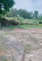 Land for sale Mani nagar kurunjipadi