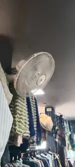 Havells wall hanging fan