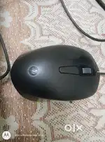 DELL KEYBOARD AND HP MOUSE (WIRED)