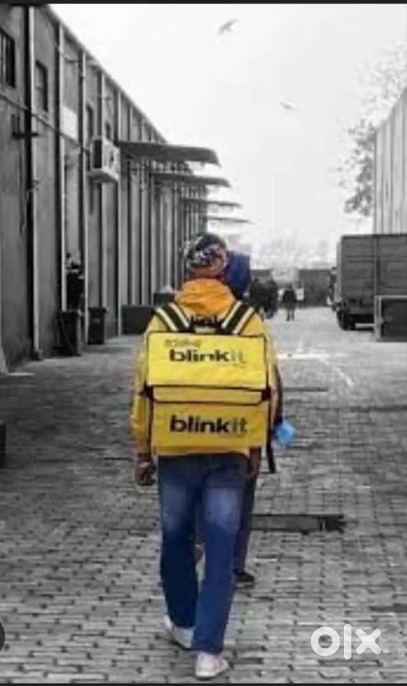 Male candidate available for picking packing @ mylapore