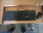 HP Keyboard  And Mouse