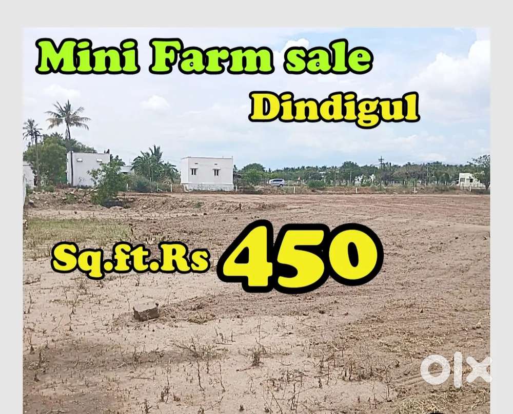 Mini farm land @ Dindigul Rock city