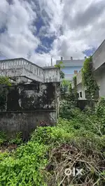 Want to sale