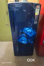FRIDGE IFB