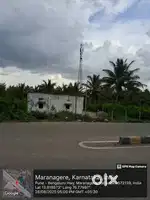 2 acres (for rent or partnership business)