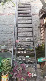 સીડી સારી કન્ડિશનમાં નવી જેવી છે