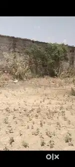 22 bigha form House near by khetri