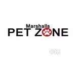 STORE EXECUTIVE