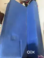 Sofa cum Bed