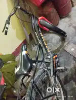 My cycle rapido cycle