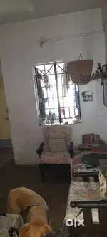 NIT QUARTER E BUILDING SAIBABA COLONY NEAR APEX HOSPITAL JARIPATKA NGP