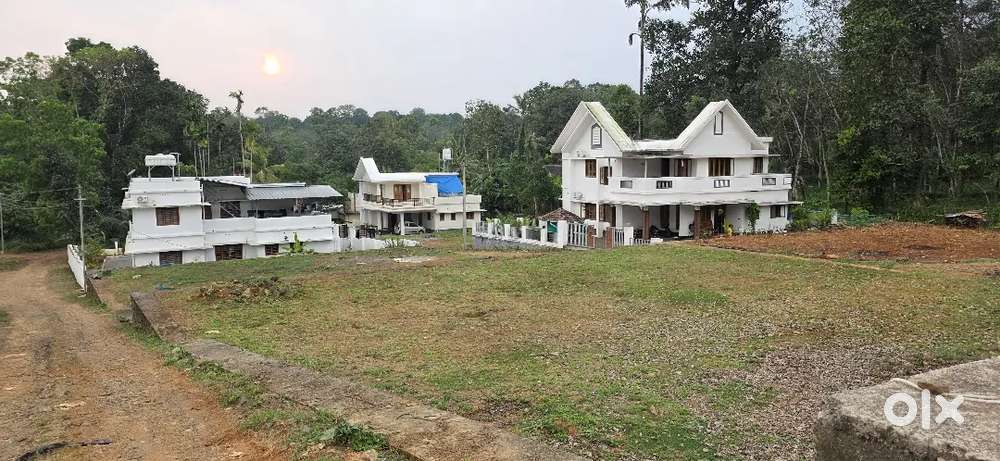 1ST CLASS PLOTS NEAR PALA