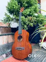 Electric Ukulele