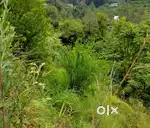 2500 Sm drive in Residential or commercial plot for Solan Himachal Pra