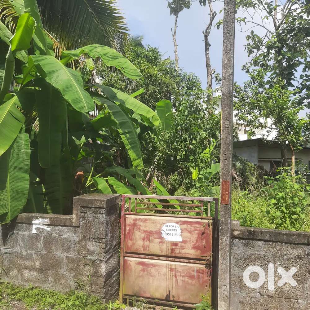 Prime 6 cent residential  plot in Trivandrum  - Near kariyavattom