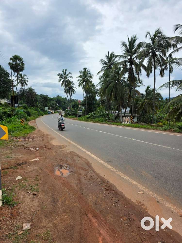 9 Cent House plot for sale in Viyyakurissi,Palakkad