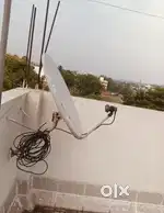 Dish with setup box