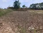 Land in jamira
