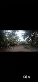 500 Sq mts Compounded Plot for rent