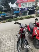 Classis 350 maroon