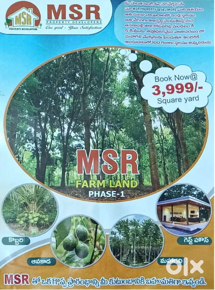 Near anakapalli 100% cash back offer any one Can be purchase