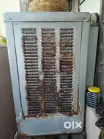 Cooler for Sell 3yr old
