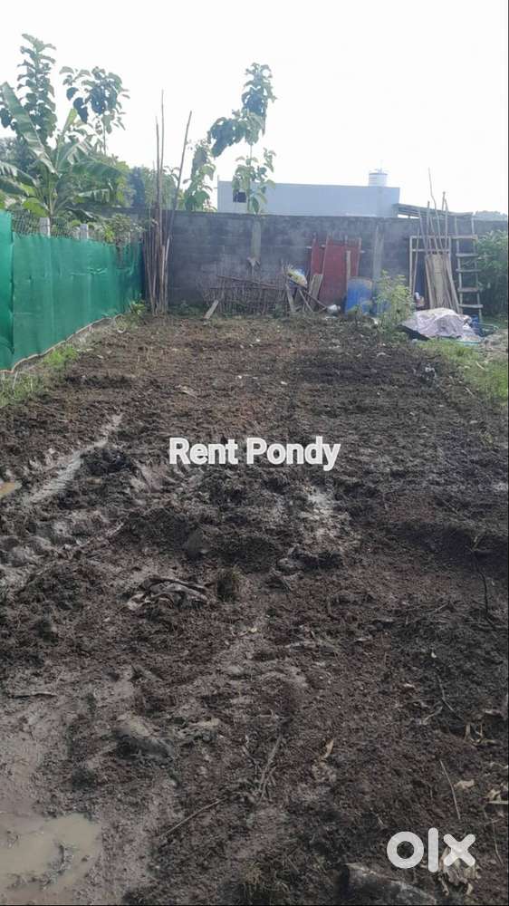Land for fencing  plants , nursery / garden / animals