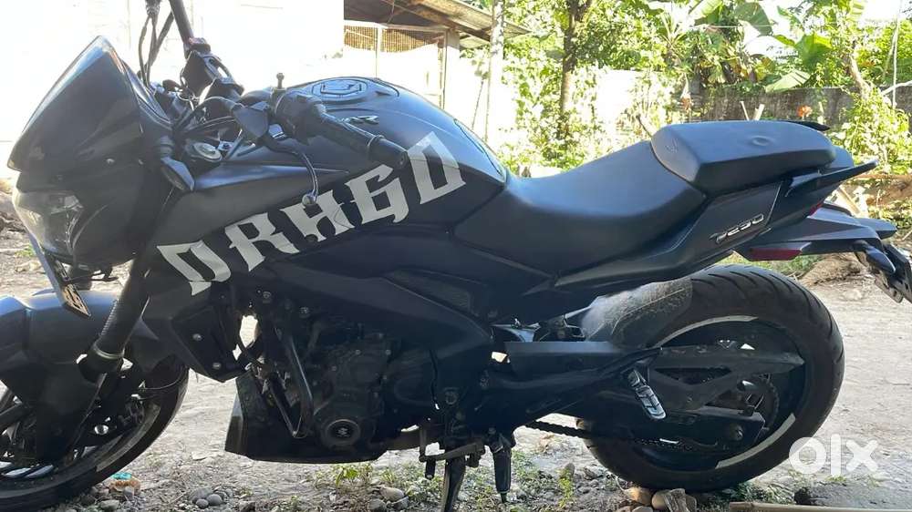 DOMINOR 250 2021