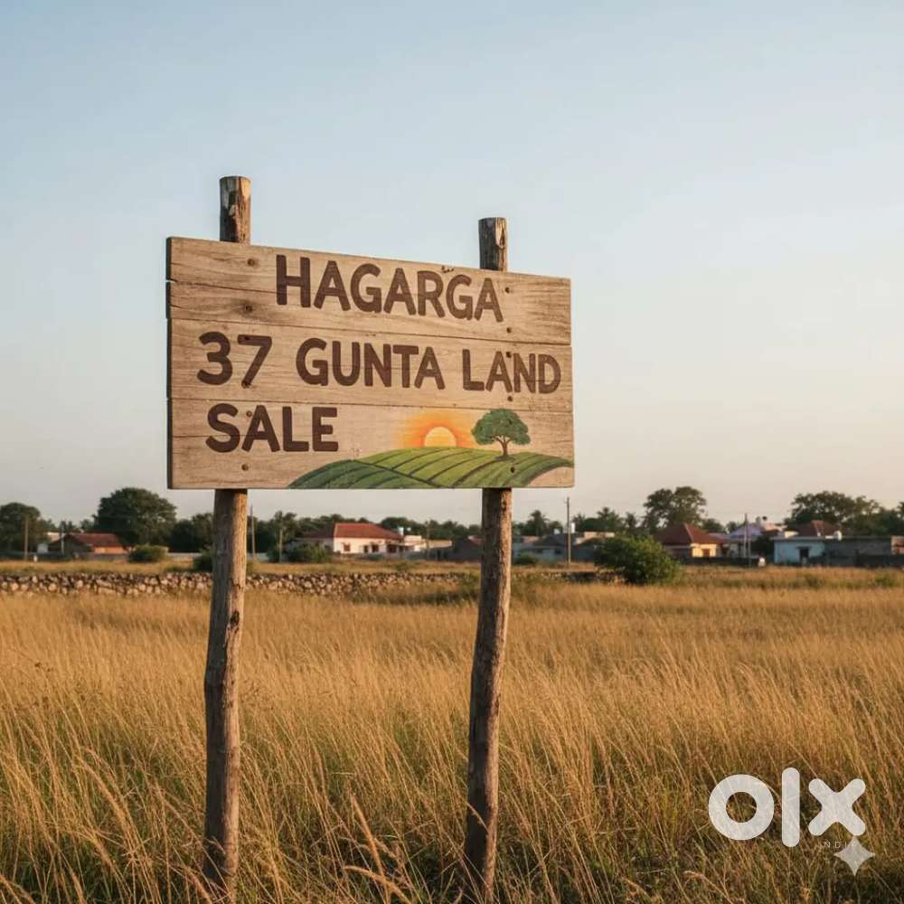 Hagarga 37 gunta land sale