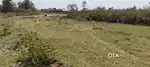 RANJHI KE PASS RING ROAD PAR AWASIYE PLOT BECHNA HAI
