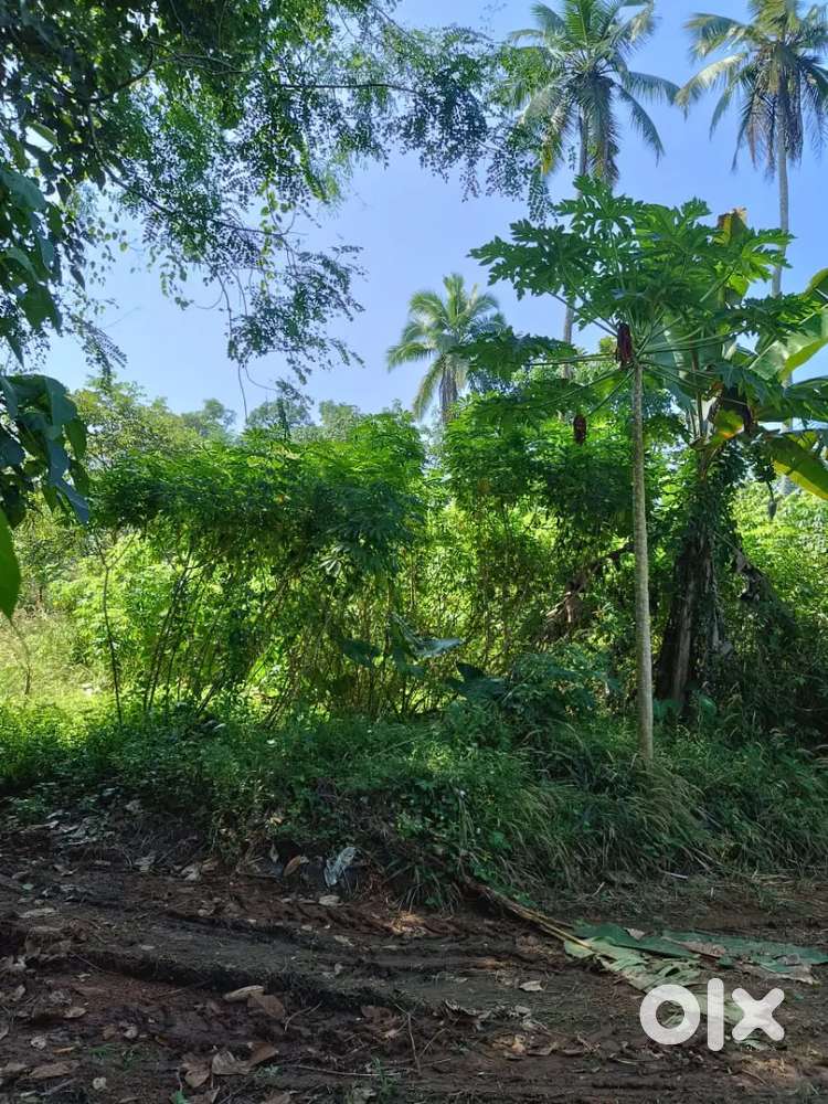 ഇടക്കാട്ടുകയറ്റതിന് അടുത്ത് 17 സെന്റ് സ്ഥലം വില്പനക്ക്