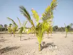 HRK Farmland