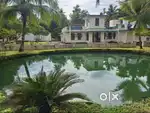 1.43 Acre (Only for Sale) Residential/ Farm House property at Kainady