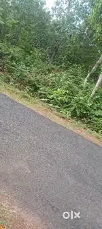 10 cent bus route tar road side total 4.75 lakh only level place