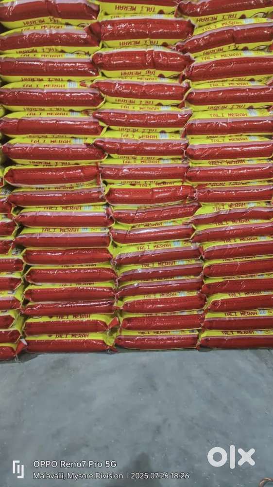 Bussiness development executive