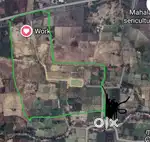 Farm Land 20 Acear