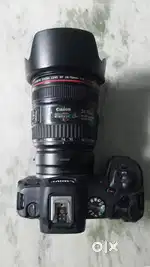 Canon EOS R8 with EF 24-70 F4 and EF-RF Mount Adapter