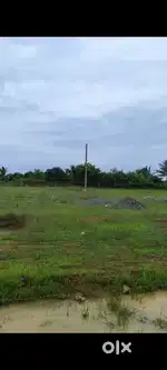6 acer farm house Near to khordha begunia NH (1.5 km from NH)