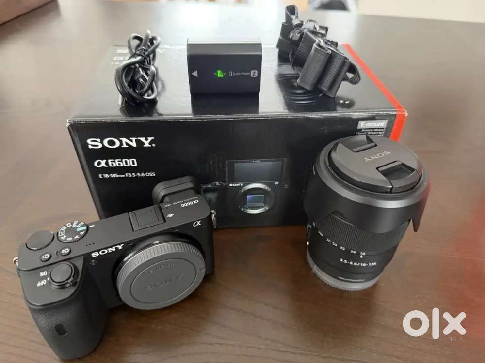 Sony Alpha A6600 Mirrorless Camera Sony E 18-135mm Sony E 10-18mm Lens