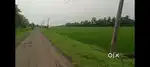 Agriculture  lend 1.32 acres nachugunta to vellamelli rod