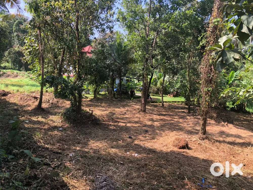 10-cent land for sale 3 km from kannur chakkarakal kanayannur