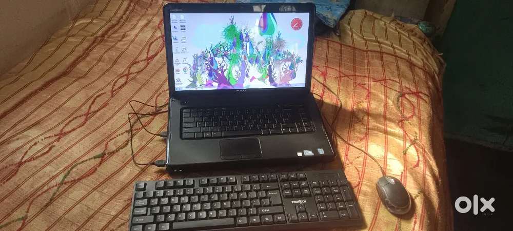 DELL laptop