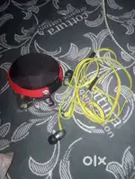 Boat earphones