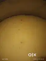 देसी गाय का शुद्ध घी