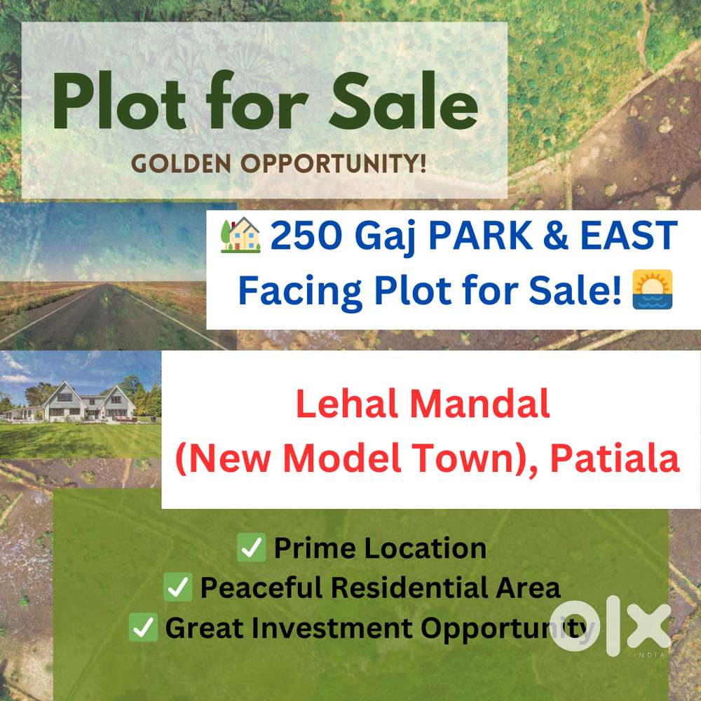 250 Gaj PARK & EAST Facing Plot for Sale ( Lehal Mandal) Patiala.