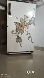 Fridge( Kalvinetor)