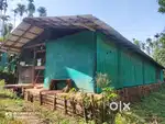 90 Cent Plot for Sale in Kidanganad, Valluvady Wayanad