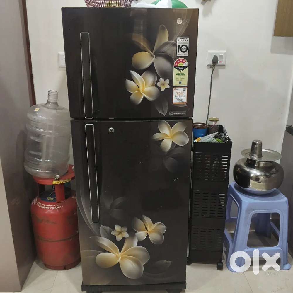 LG double door 260L inverter cooling Fridge